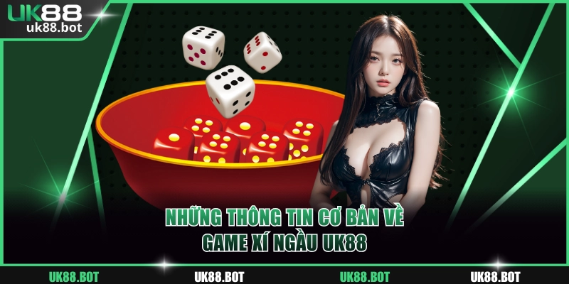 Các thông tin chung về game Xí ngầu